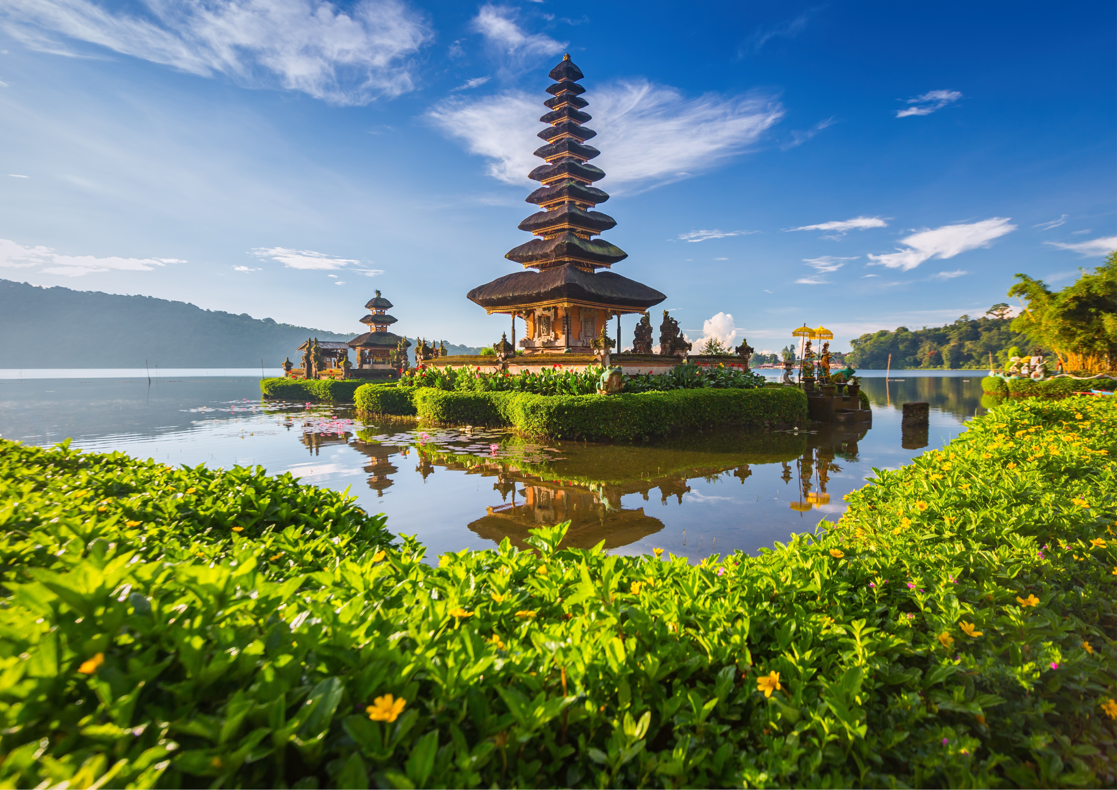 Bali rice terraces
