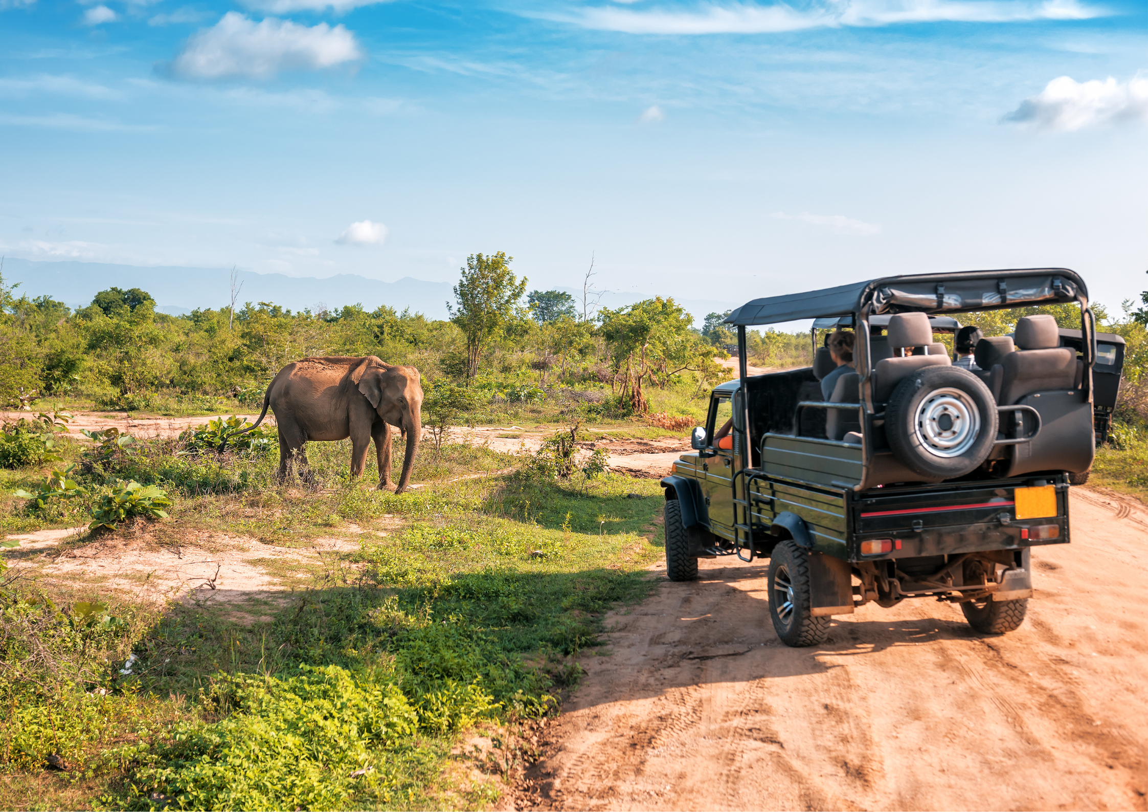 Tanzania