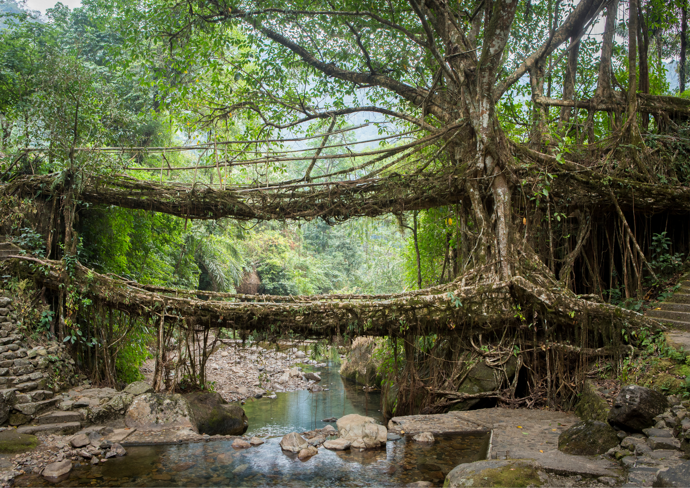 Meghalaya