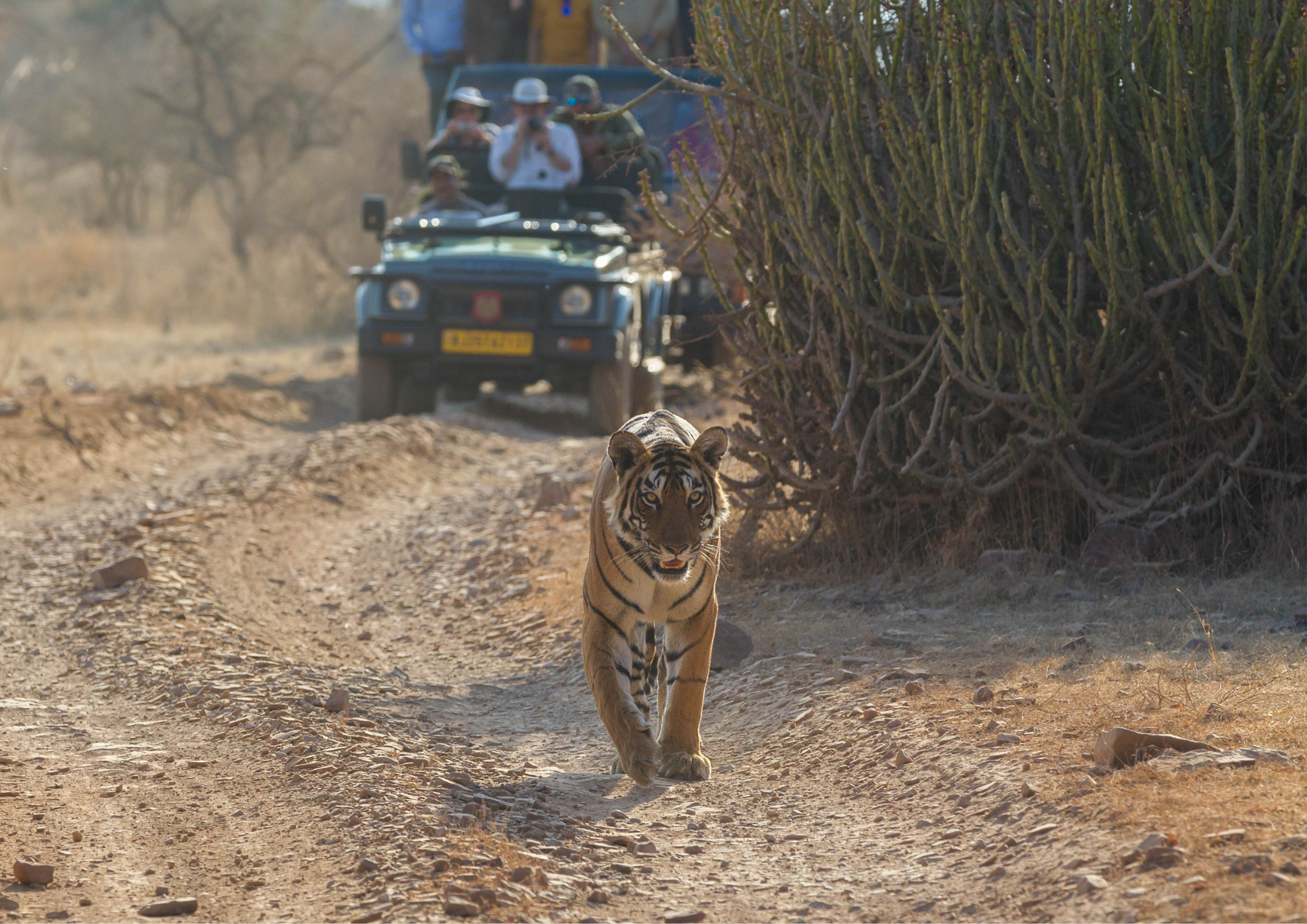 Rajasthan